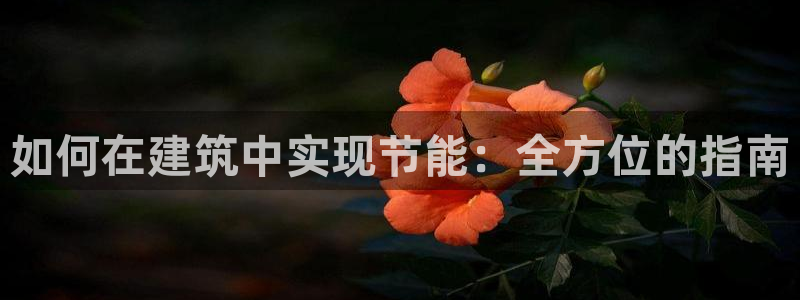 E尊国际网站
