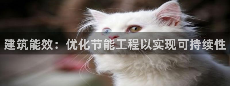 e尊国际官网app