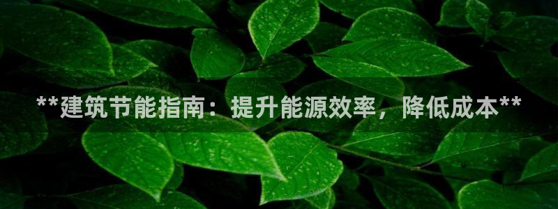 e尊国际是干什么的