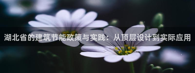 e尊体育