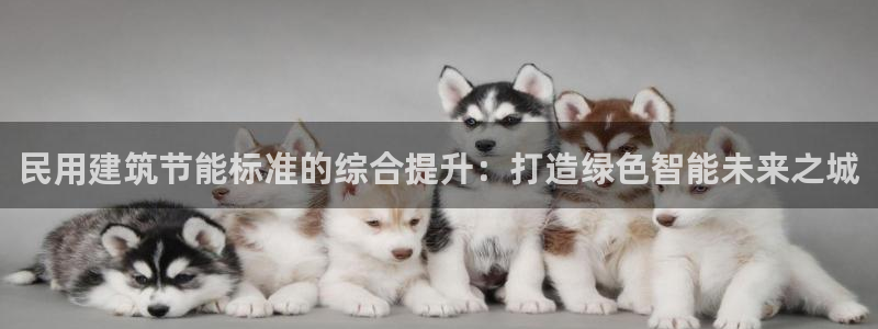 e尊国际-e尊国际官网