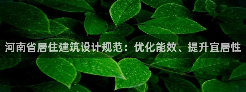 e尊国际网址
