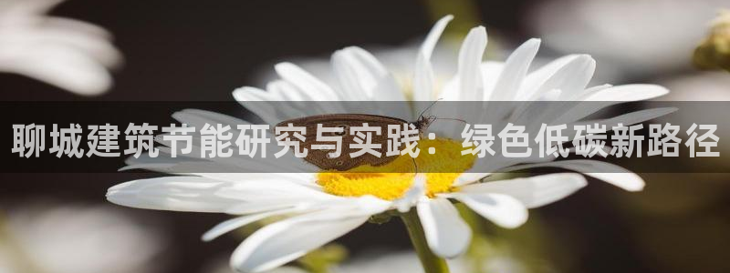 e尊国际app：聊城建筑节能研究与实践：绿色低碳新路径