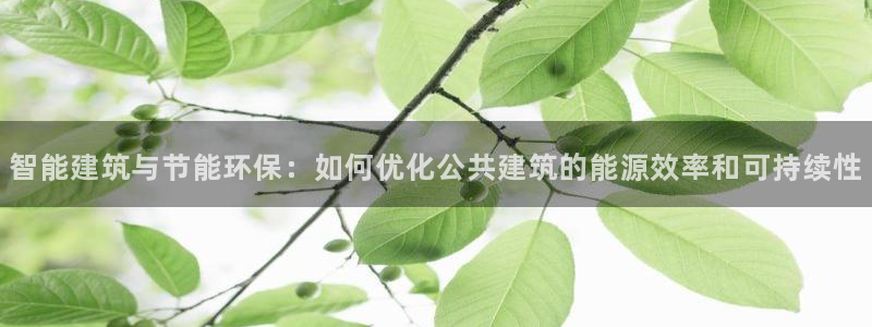e尊国际平台：智能建筑与节能环保：如何优化公共建筑的能源效率和可持续性