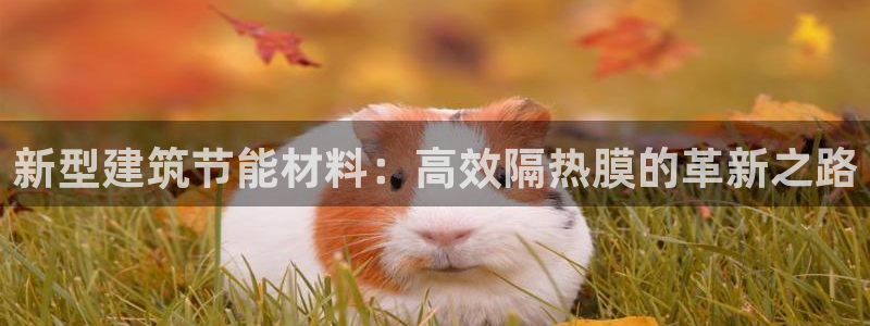 谁知道e尊国际的网址